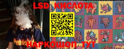 СК Краснознаменск
