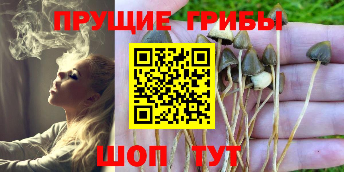 купить наркотики цена  Вход с VPN  Ессентуки  Псилоцибиновые грибы Magic Shrooms 