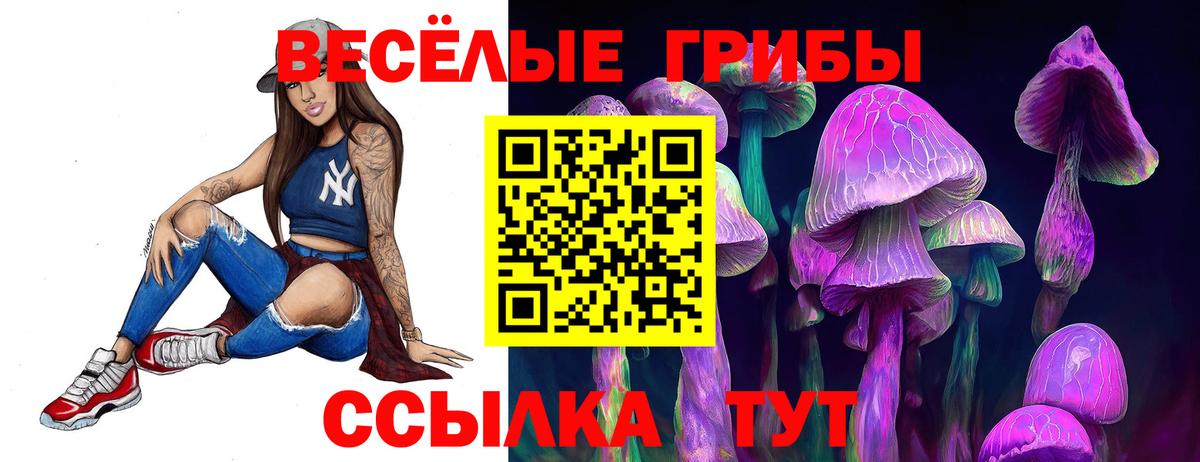 Галлюциногенные грибы Magic Shrooms Ессентуки